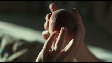 Call Me By Your Name Peach Scene Explained .